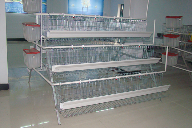  High Quality Layer Cage Features for Egg Laying Chicken