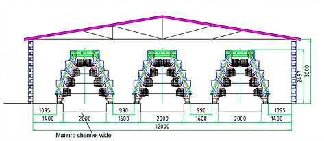  About the Standard chicken house design for layer chicken cage