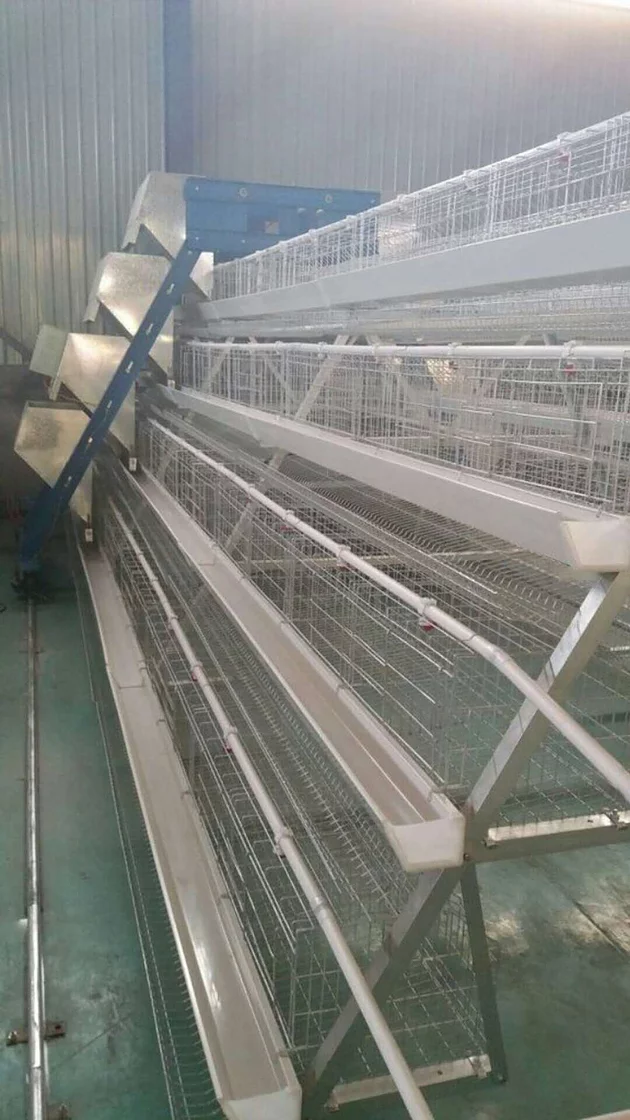  Daily maintenance and maintenance for chicken cage