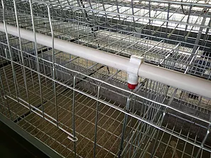  How to ventilate a chicken cage