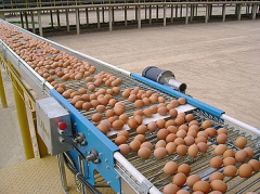 How to reduce egg breaking rate？Is it the cheaper the bette