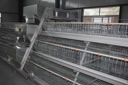  Chicken cage production methods