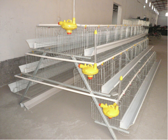 Chicken cage specifications Features