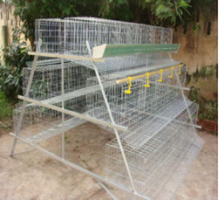 Chicken cage specifications Features