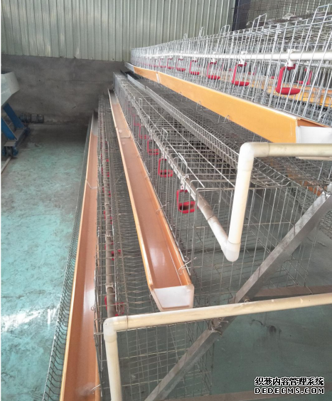 A Type Chicken Cage