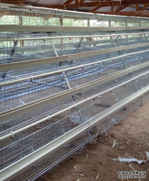 A Type Chicken Cage