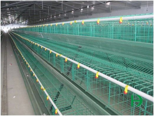 Hot Sale Chicken Battery Cage