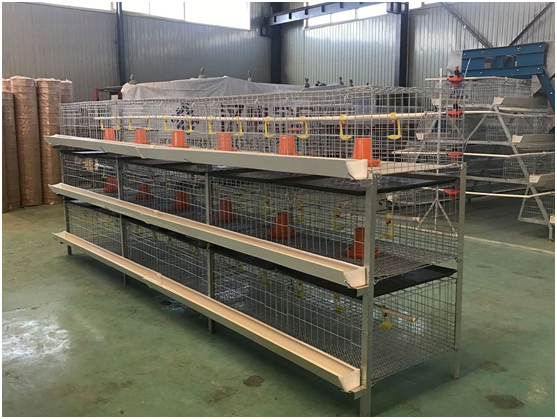 High Quality Chick Rearing Cage Manufacturer