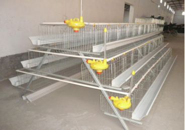 Good quality Wire chicken cages 