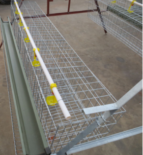 Good quality Wire chicken cages 