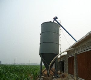 Automatic Chicken Feeding System