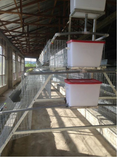 The advantages of Broiler battery cage