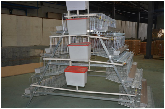 where to buy chicken cage?Why choose qunkun company’s chicken cage?