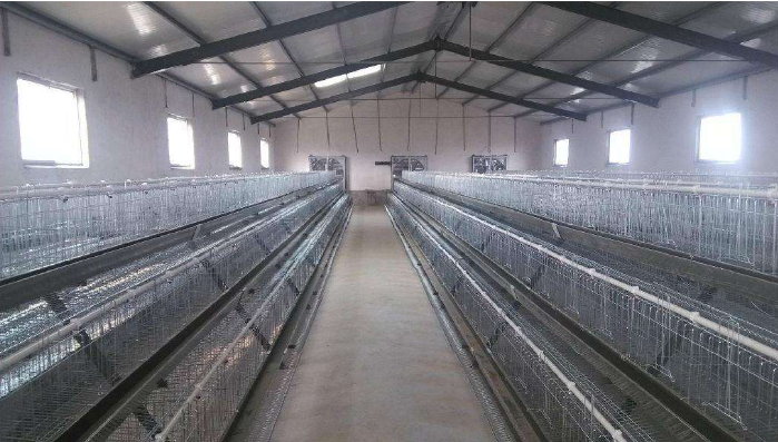 Galvanized chicken cage 