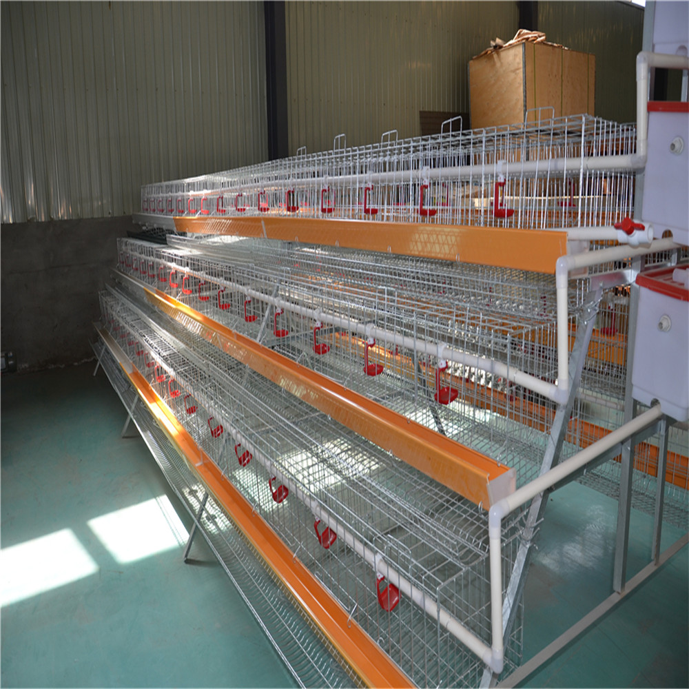 The chicken cage design