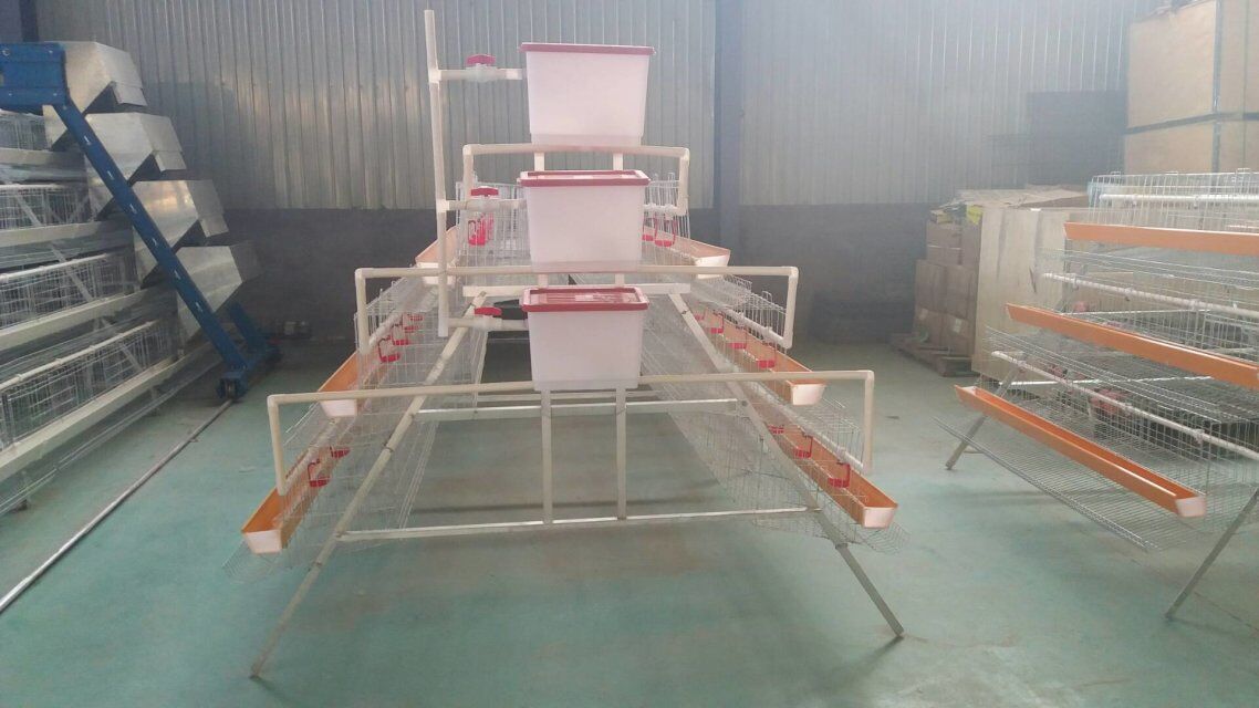 Egg layer cages for sale