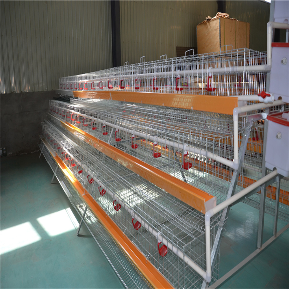 Layer cages China famous manufacturer