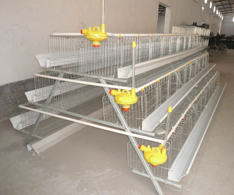 China chicken cages for sale