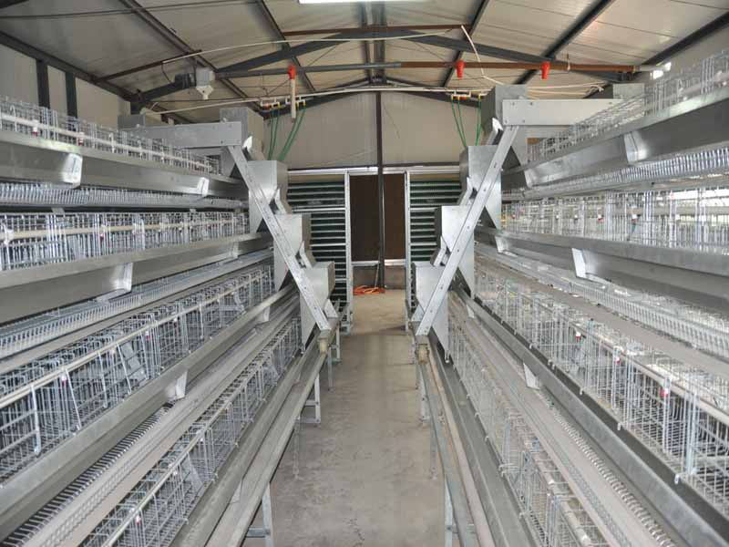 Advantages of chicken cage wire mesh