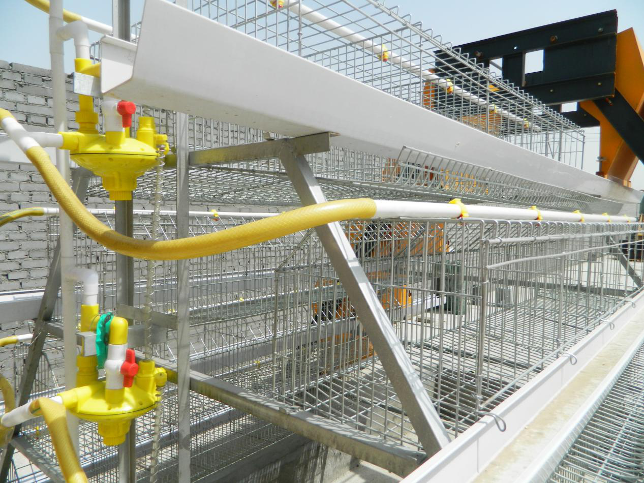 Electrostatic spraying of the chicken cage