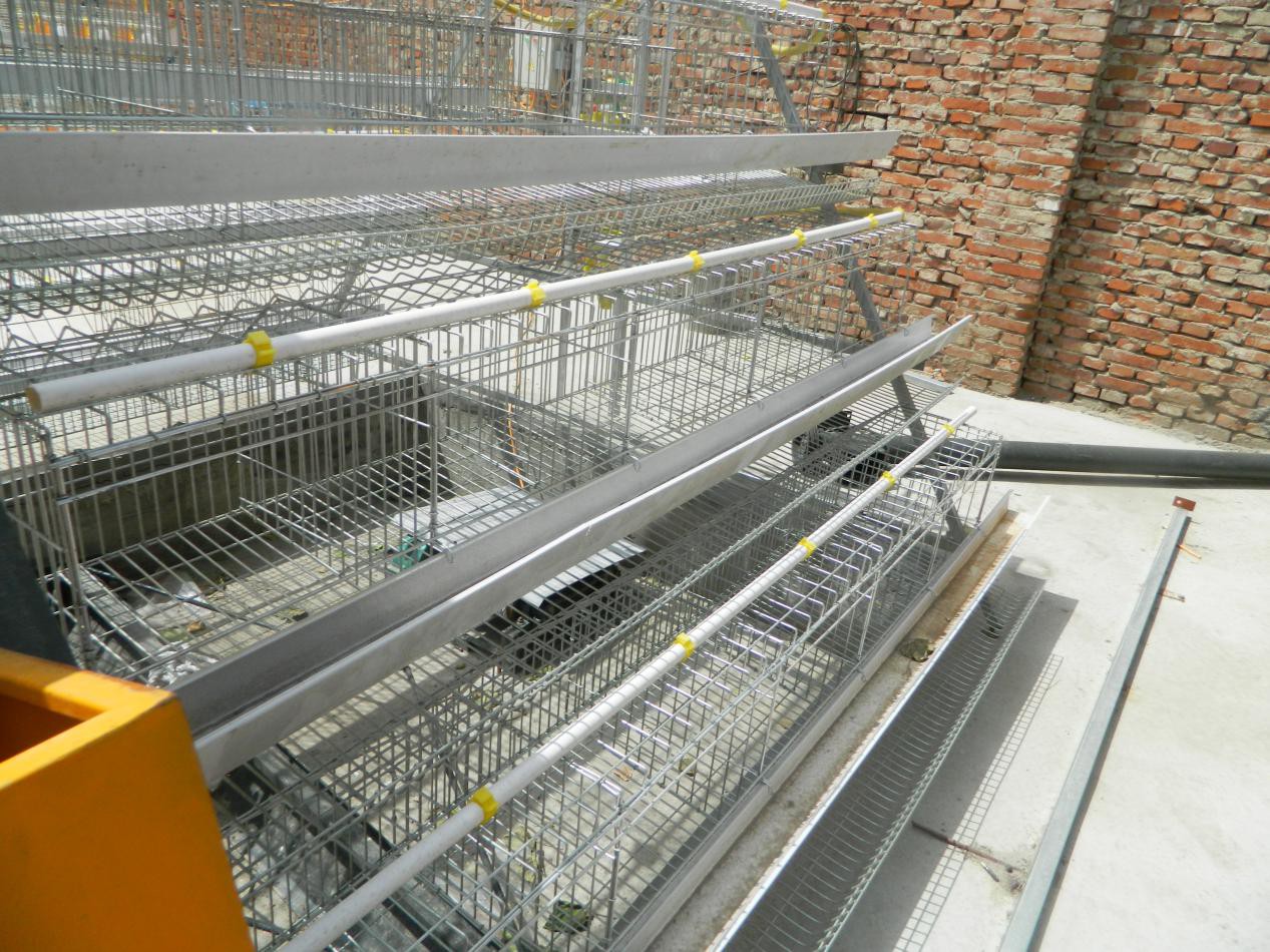 Chicken Cages For Sale In Kenya