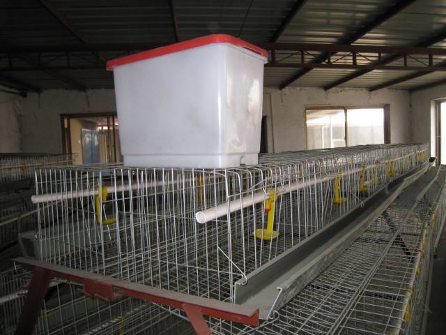 Chicken cages for sale in south africa