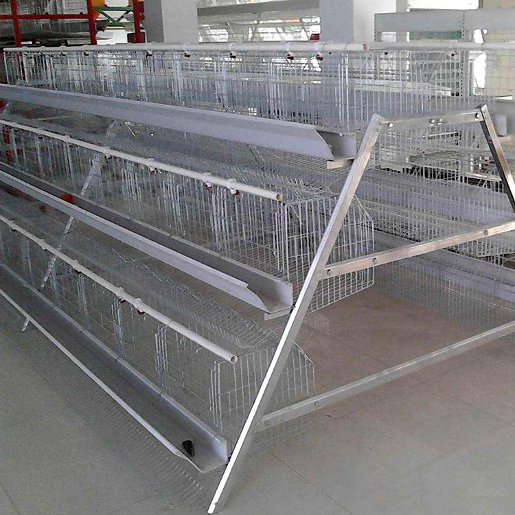 Chicken cages, advantages, prices