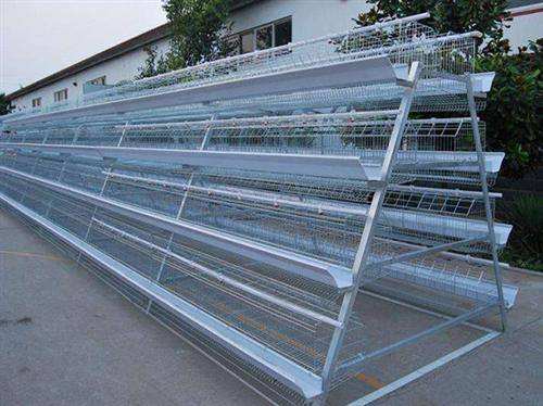 Chicken cages What are the advantages of breeding?