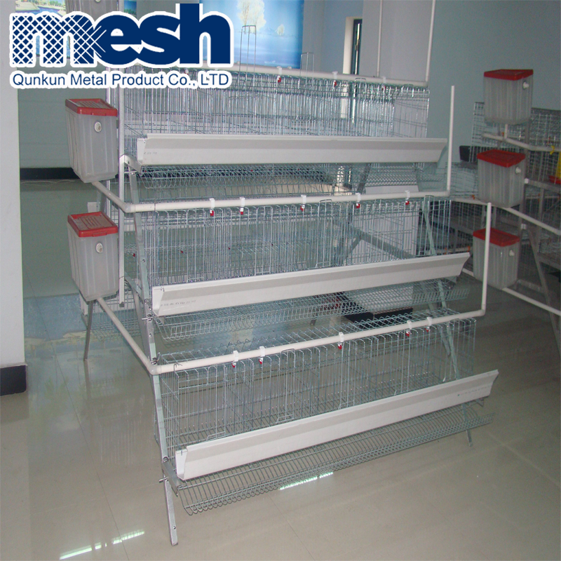 China Supplier Chicken Layer Cages For Sale In South Africa