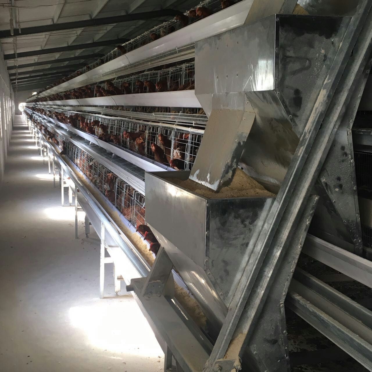 Automatic Poultry Farming System In Nigeria