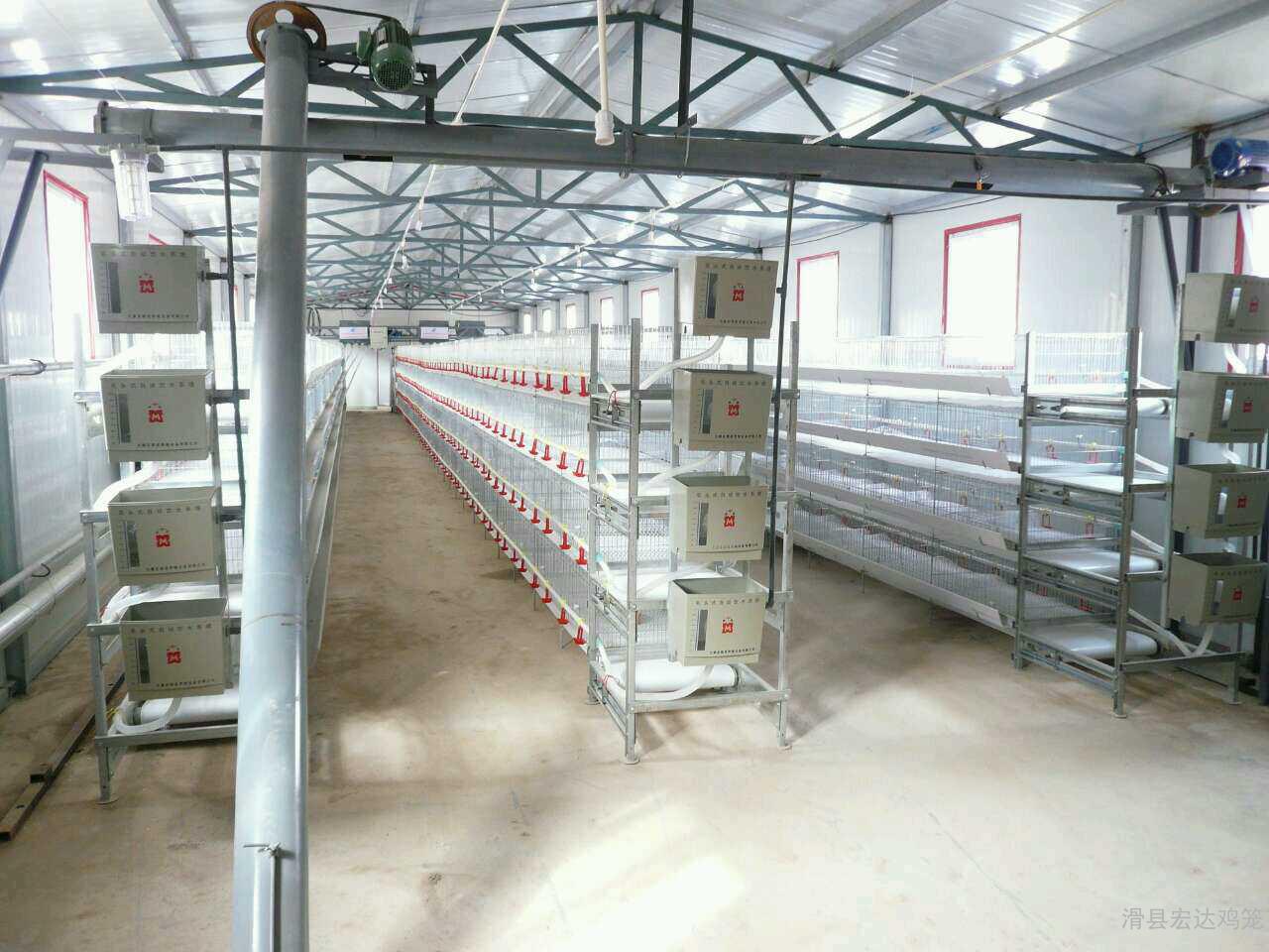 China Manufacturer Battery Cage System for Broilers With Lowe