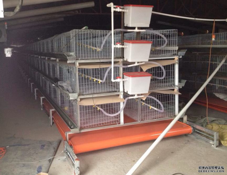 China Manufacturer Battery Cage System for Broilers With Lowe