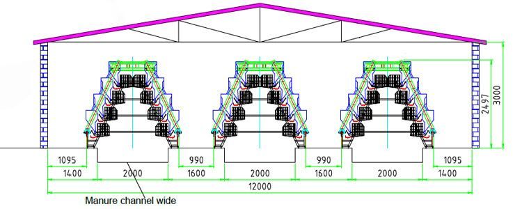 The building and the plan of the chicken farm