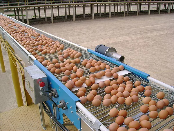 The Egg Collection Machine