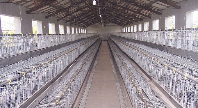 What kind of broiler cage does the manufacturer tell?