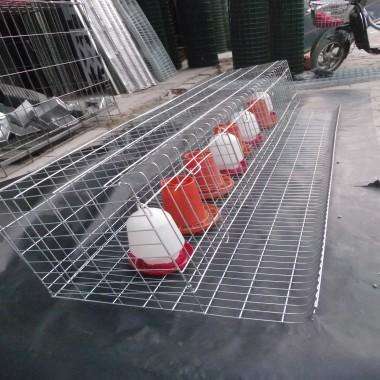 What are the advantages of using a broiler cage?