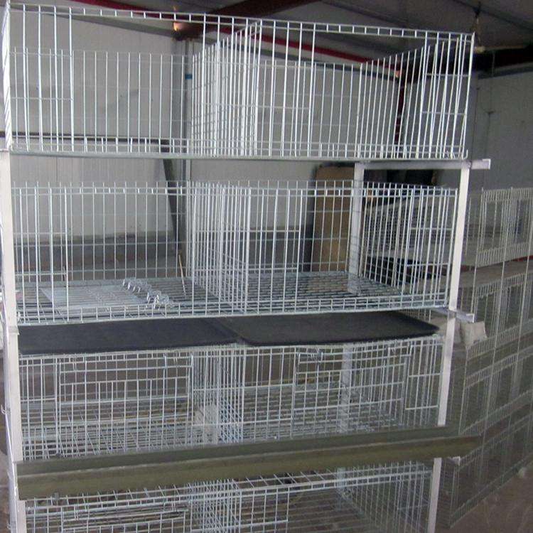 Cleaning of broiler cages