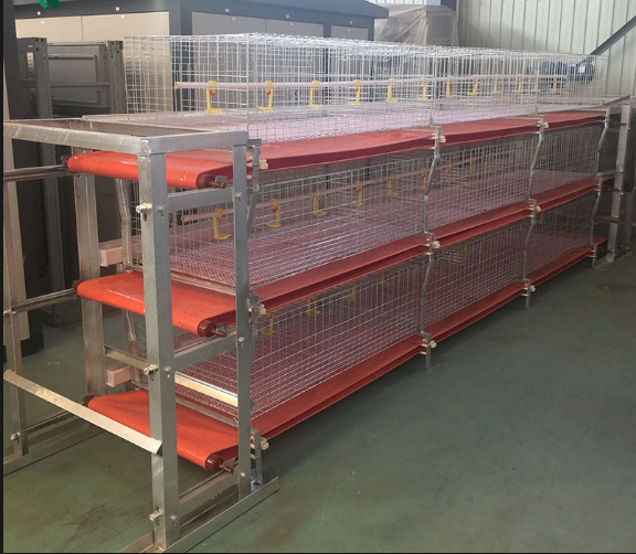 Cleaning and disinfection of broiler cages