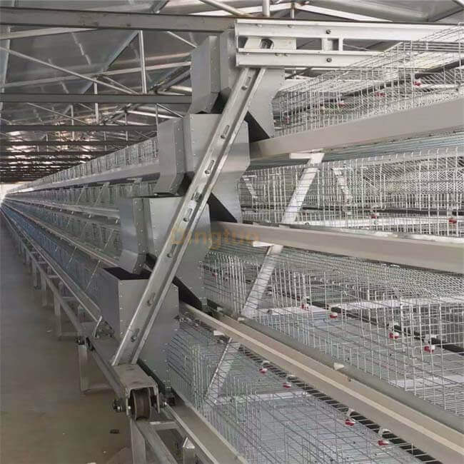 Installation of automatic cleaning equipment for broiler cages