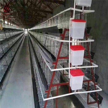 Characteristics of galvanized Broiler cage