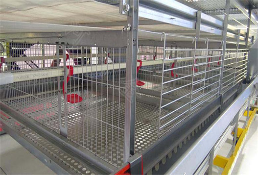 Talking about the role of broiler cages