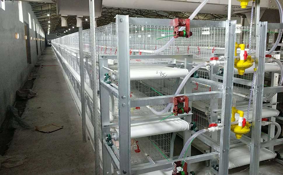 What are the construction standards for broiler cages