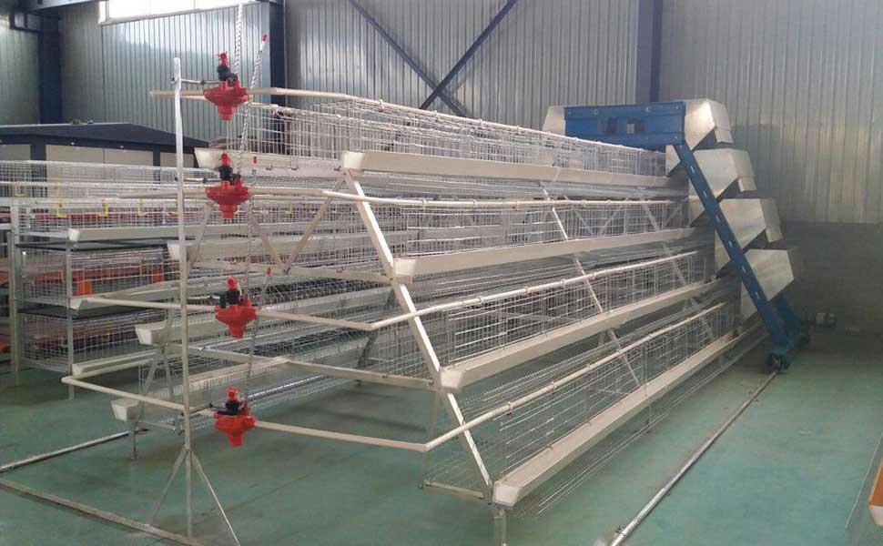 The manufacturer talks about the cleaning of the laying hen cage